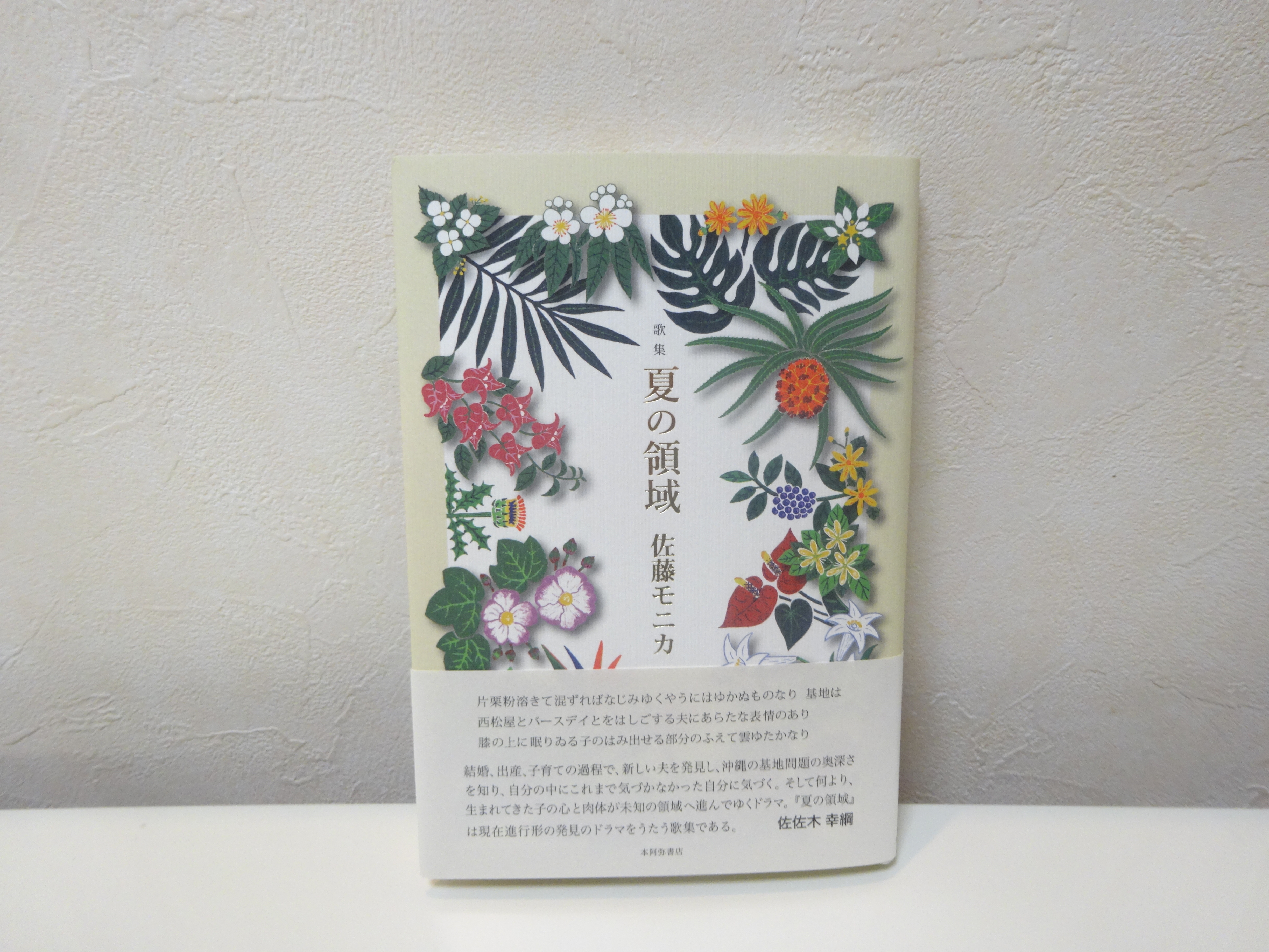 書評】佐藤モニカの沖縄詠 ―歌集『夏の領域』から― | OKIRON